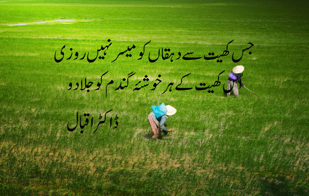 Allama iqbal quotes