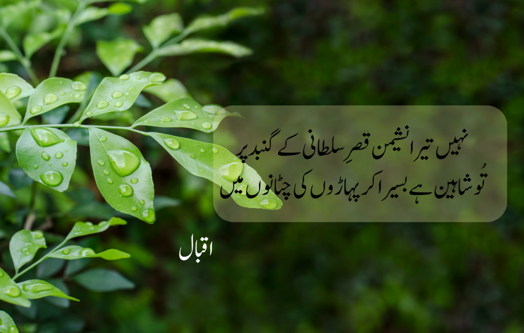 Allama iqbal quotes