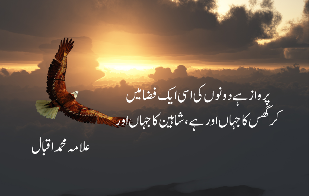 Allama iqbal quotes