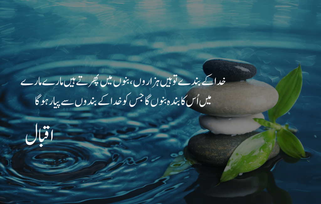 Allama iqbal quotes