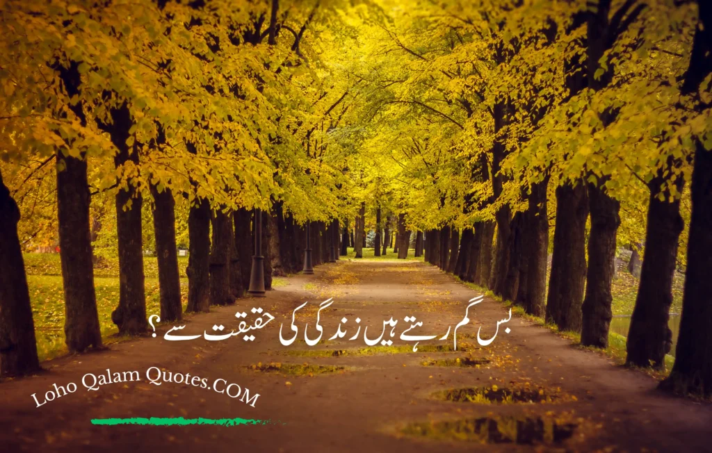 sad quotes in urdu