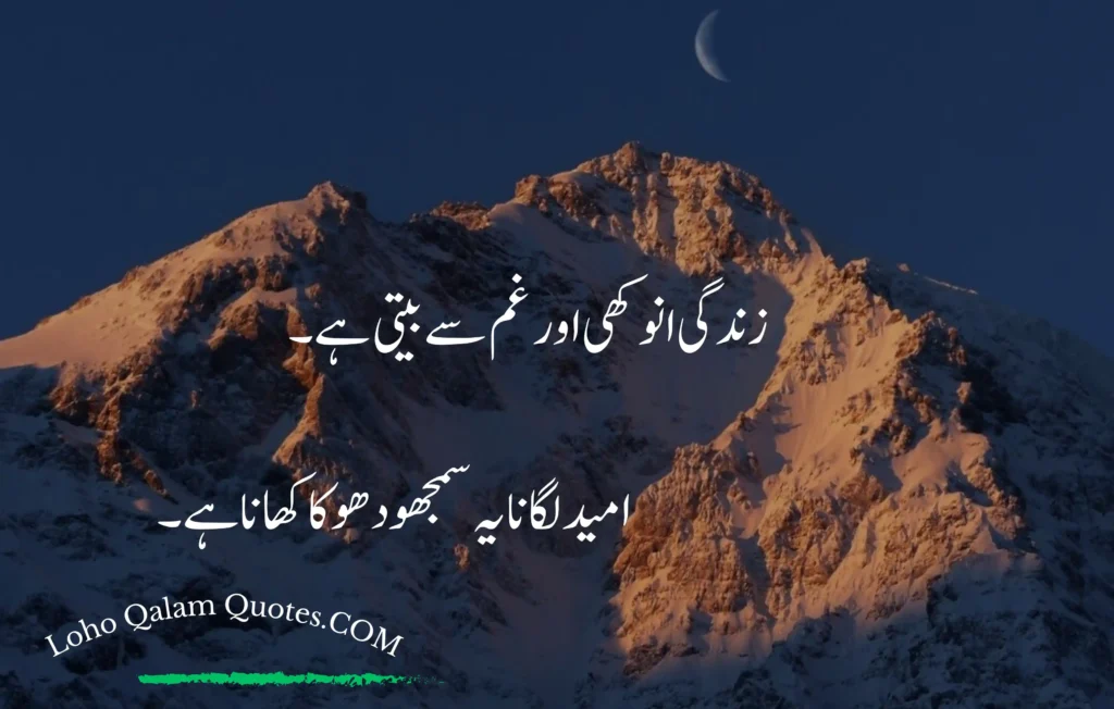 sad quotes in urdu